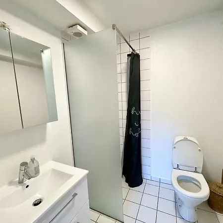 شقة 5 Minute Walk To Lego House - N18